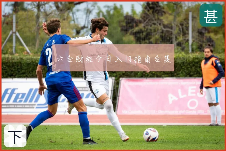 六合财经今日入门指南合集